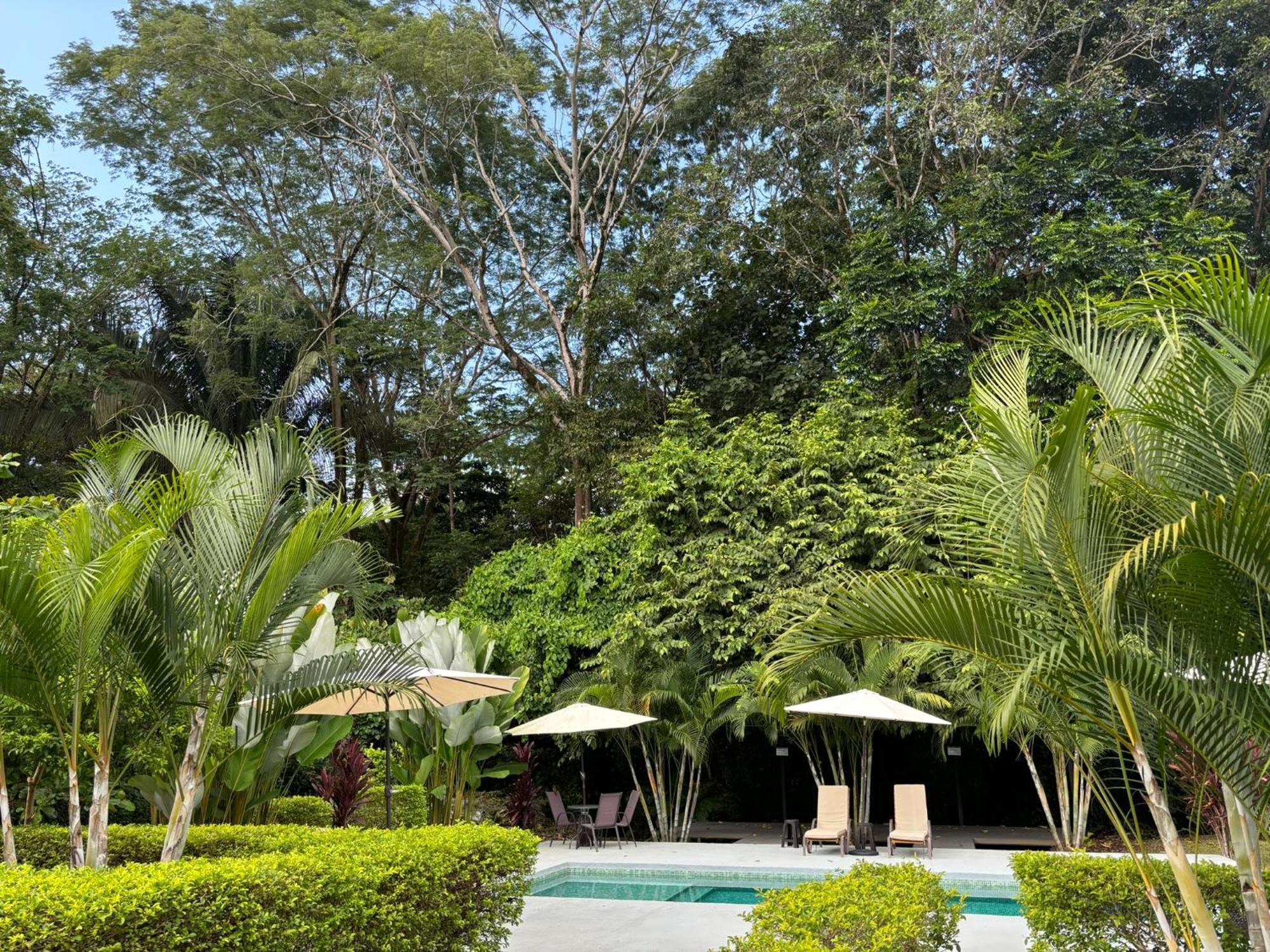 Bambura Bahia Villas Uvita Exteriér fotografie